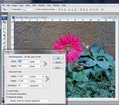 photoshop optimize images for web
