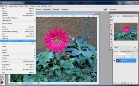Optimize Images For Web With Photoshop