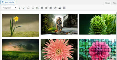  put images side by side in wordpress