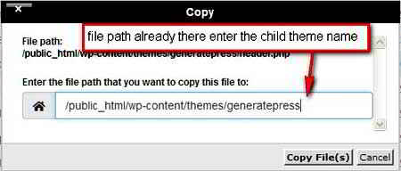Duplicate Files Parent Theme To Child Theme