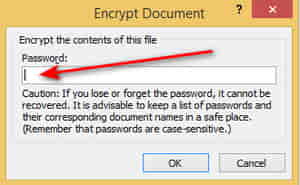 how to password protect microsoft word and excel document