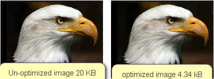 optimize images for website